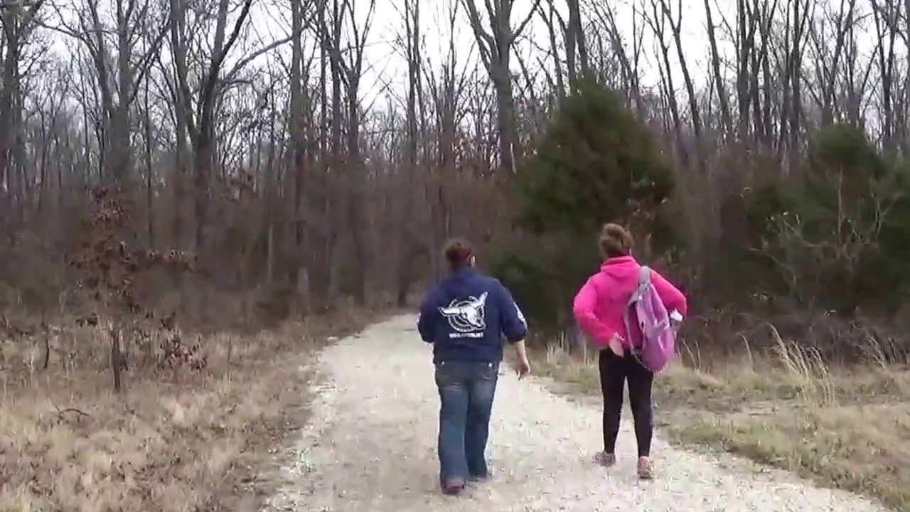 Compton Hollow Conservation Area part 1