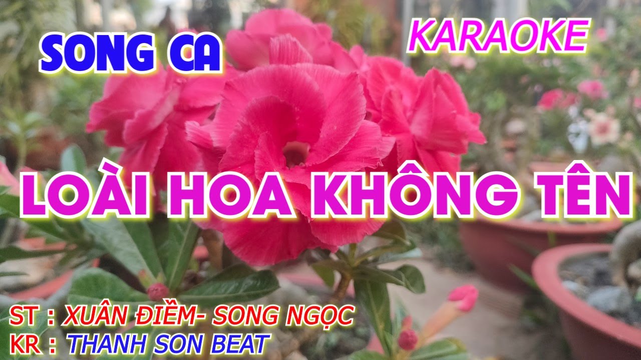 Karaoke Loài hoa không tên - Song Ca - Thanh Sơn Beat
