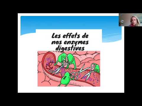 Pourquoi prendre des enzymes digestives?