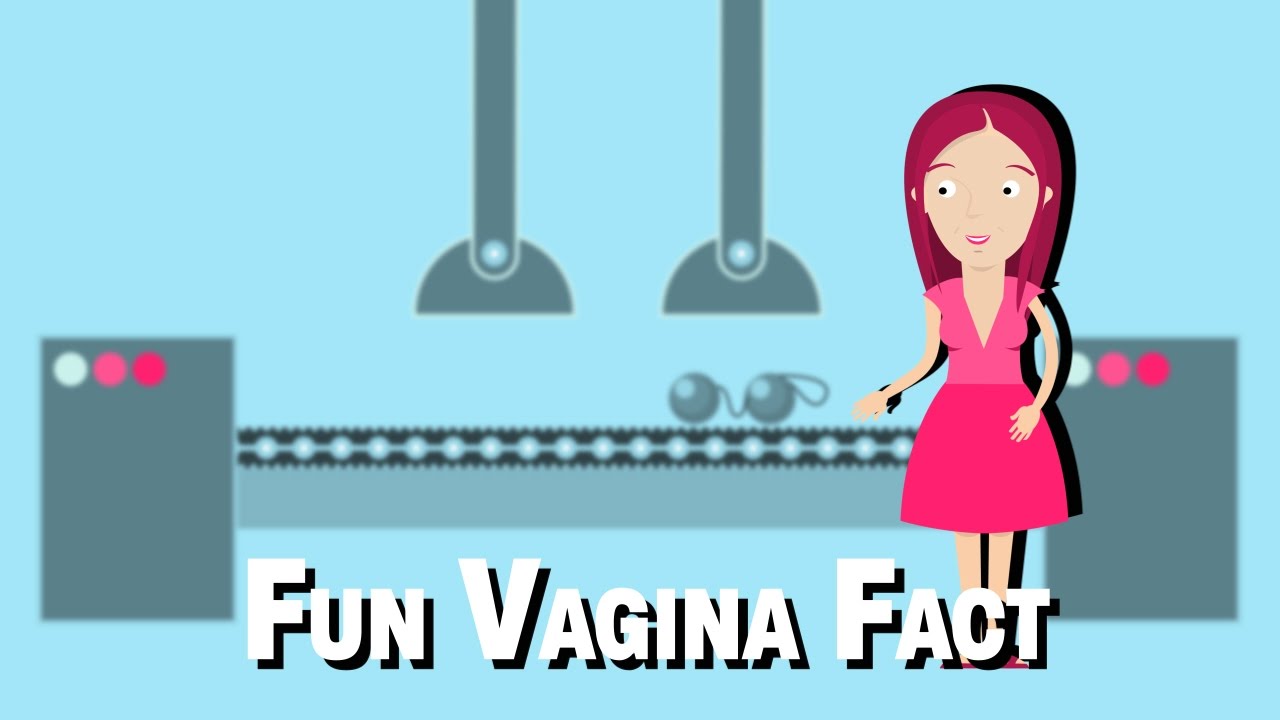 Fun Vagina Fact Youtube