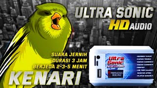 KENARI ULTRA SONIC‼️pemasteran digital suara jernih berjeda gampang di ingat burung