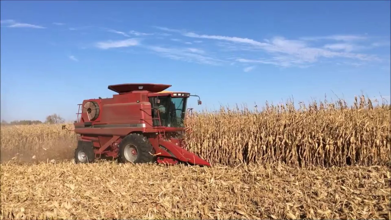Corn harvest 2016 Iowa YouTube