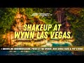 Wynns management change vegas high speed train breaks ground new arena name  phish at the sphere