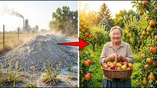The Cement Plant Dumped Limestone at Her Fence for 16 Years — She Built a Heritage Orchard From It