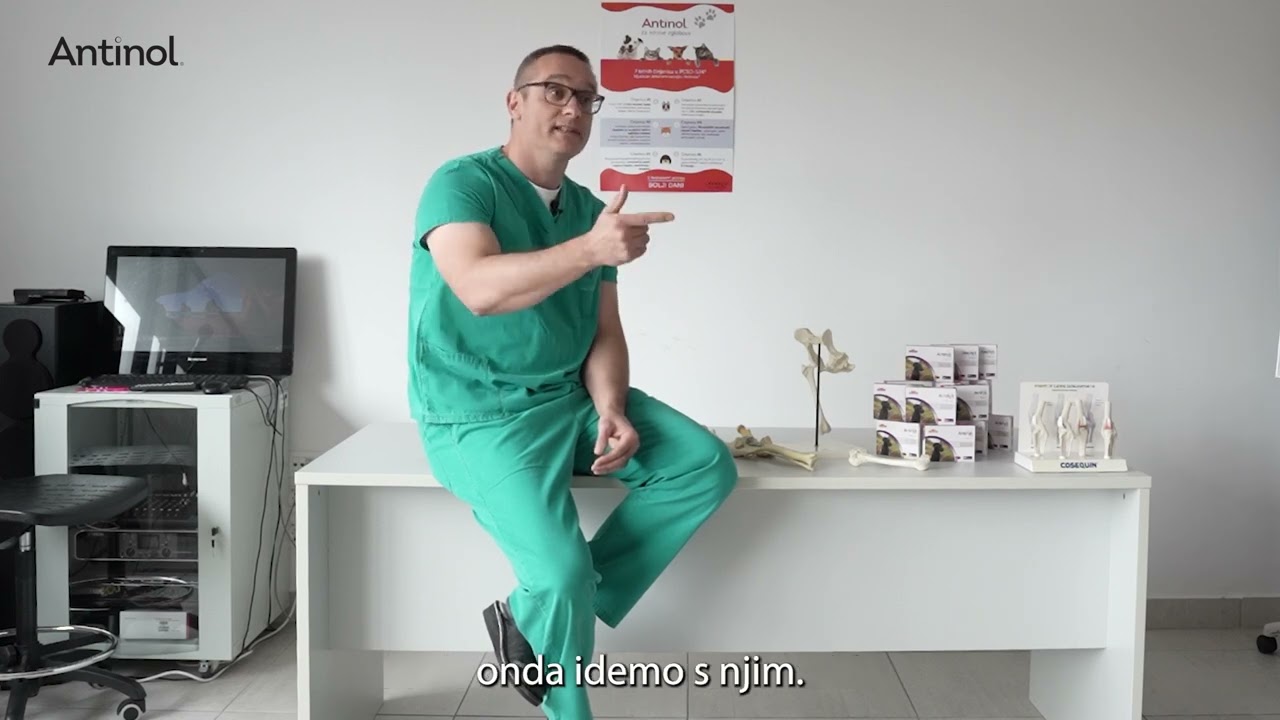 Osteoartritis kod pasa: Veterinar Dr. Tomislav Dolar otkriva znakove, greške i kako pomaže Antinol