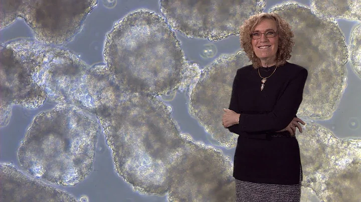 Elaine Fuchs (Rockefeller, HHMI) 1: Skin Stem Cell...