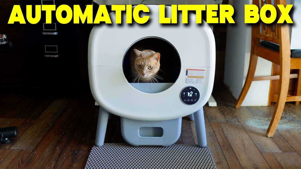 Testing Out This Self Cleaning Automatic Cat Litter Box
