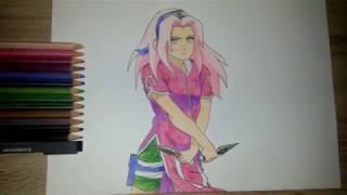 IDraw 3|Sakura Haruno