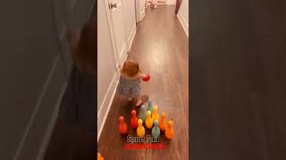 Epic Fails on Sports #epic #epicfails #epicfail #funny #sports