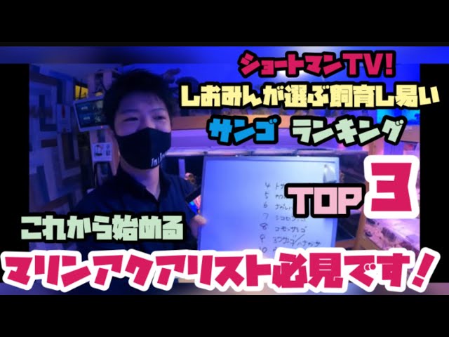 初YouTube LIVE! 【サンゴ】【コーラルモンスター】 - YouTube