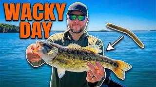 Is the Wacky Rig STILL King? (Spring Bass Fishing)