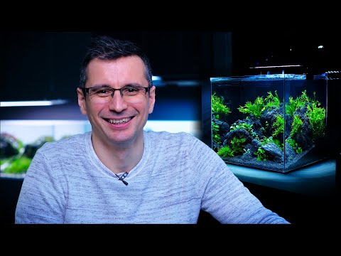 Introduction to the AQUASCAPING Hobby - Dwarf PUFFER FISH in a Nano Aquascape