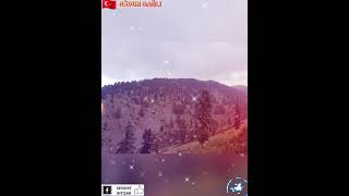 Sevgiye Intizar