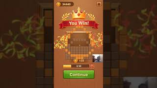 Wooden Block Jigsaw Puzzle Level 1011 - 1020 Walkthrough screenshot 1