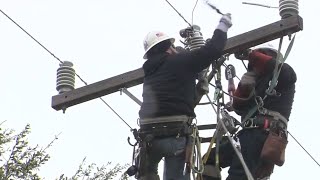 Celebrity Frozen tree limbs, high winds pose problems for CPS Energy crews Net Worth