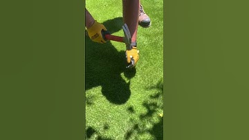 How to Install Artificial Grass in Toronto #artificialgrass #shorts #torontolandscape