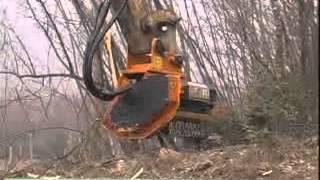 ECF MD/SB Decespugliatrici forestali idrauliche - Hydraulic forestry mulching heads