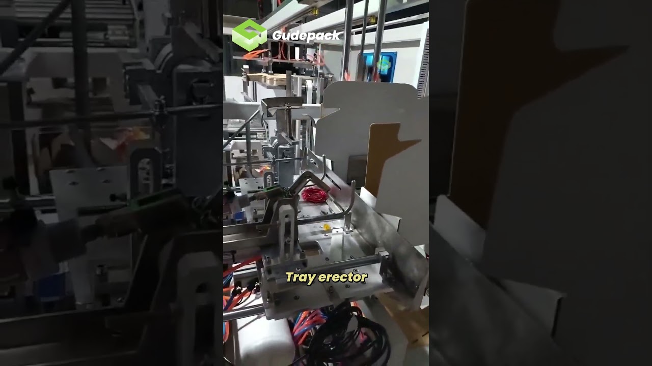 Automatic Tray Erector Machine | Corrugated Tray Former Machine 