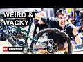 The weird  wonderful how to stand out at bike festivals with ben cathro