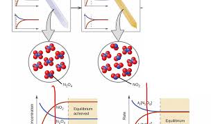 CHM122 Unit 4 Dynamic Equilibrium MWhiteJeanneau