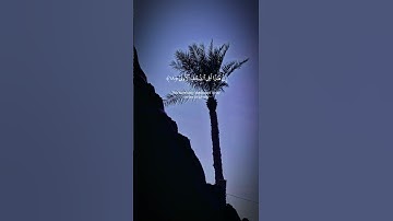 سورة الأعلى / عبد الرحمن مسعد #تلاوة_خاشعة #المصحف #الدين
