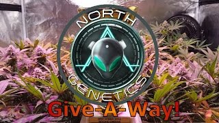 North Genetics Giveaway! (CLOSED)