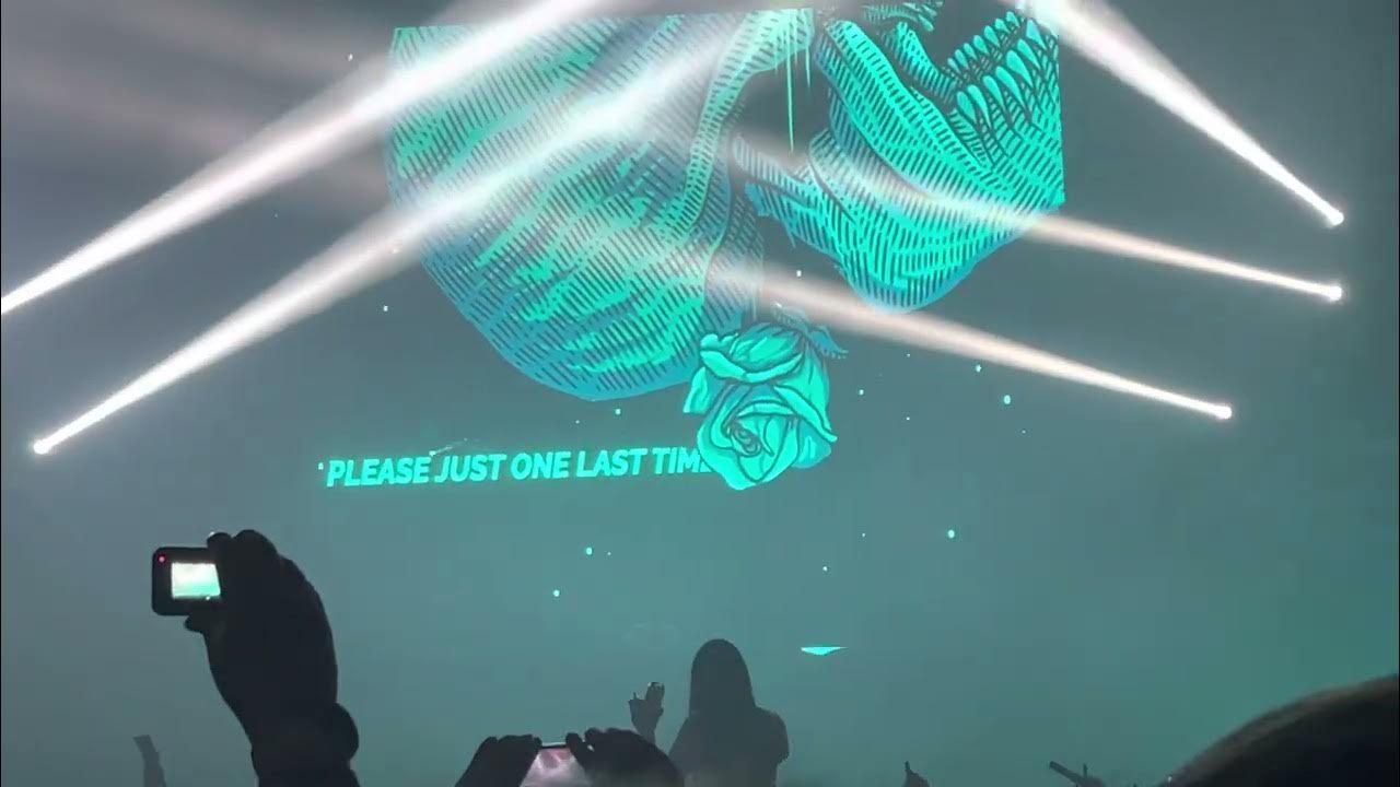 Kai Wachi Run LIVE at Excision presents MILE HIGH YouTube