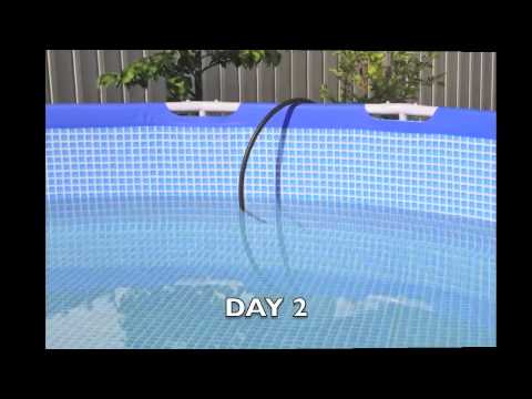 Pool Set-Up - Question - Youtube Pool Set-Up - Question - Youtube
