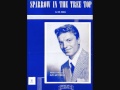 Guy Mitchell - Sparrow in the Tree Top (1951)