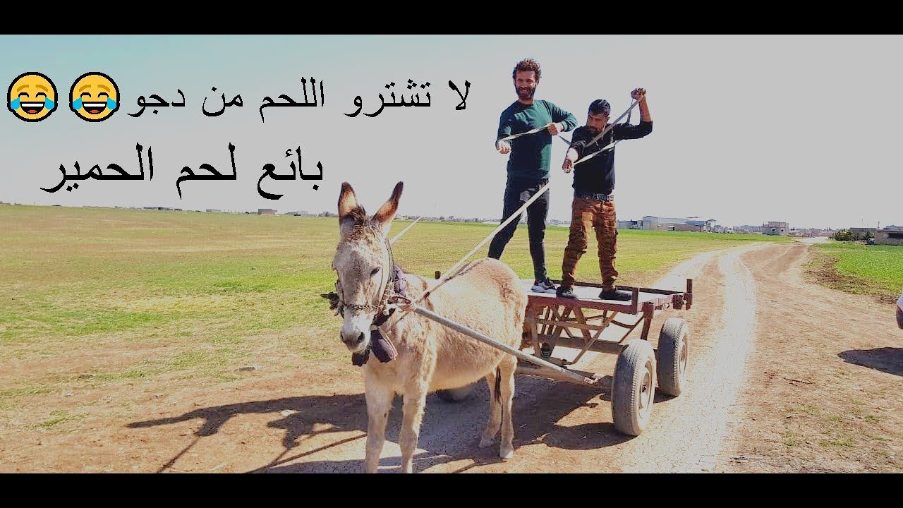 الجزار و بائع لحم الحمير  دجو- سوزدار بيحب يتعلم المصلحة من دجو بس كيف ؟؟؟؟ Werin Kera