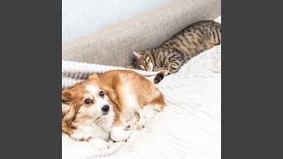 Tranquil Paws Retreat