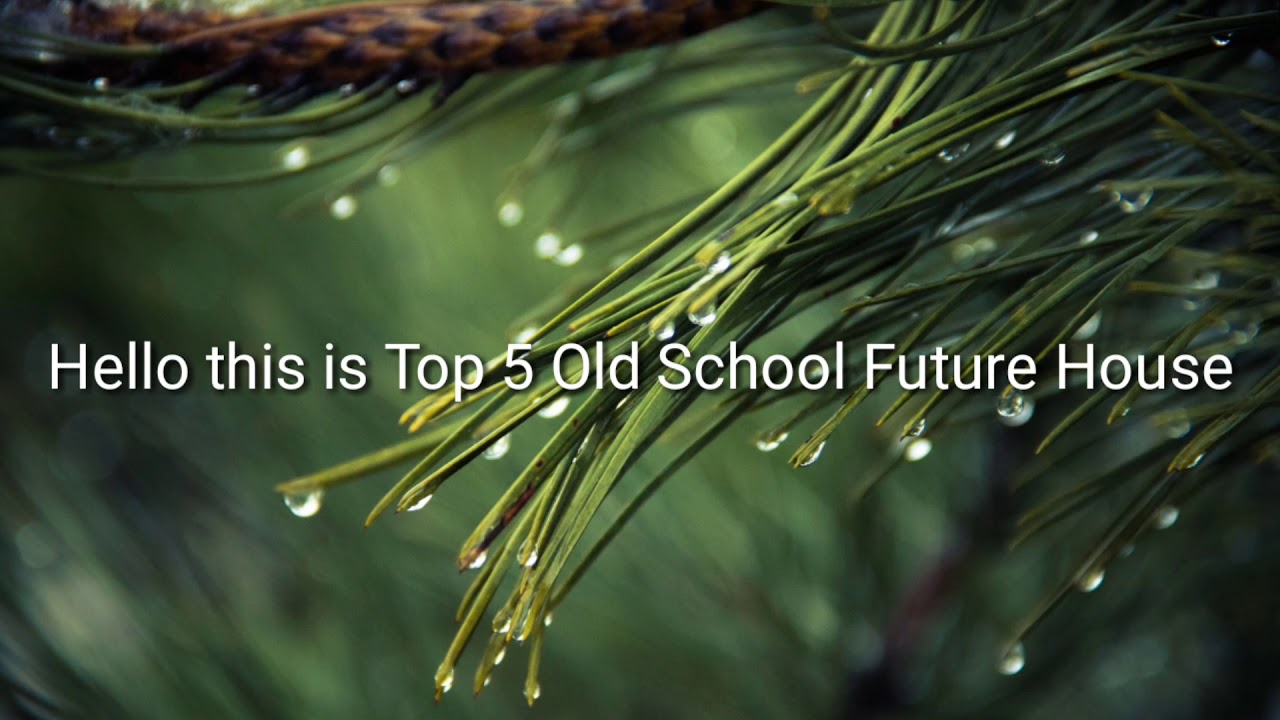 Top 5 Old School Future House Drop|Season 3