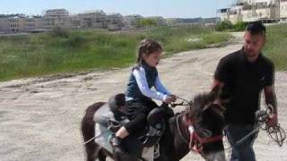 Chol Hamoed: Passover Vacation in Village Israel
