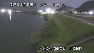 番匠川 河川ライブ映像 のライブ映像