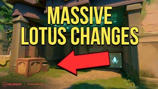 All of the Changes Coming to Lotus in Patch 8.0
