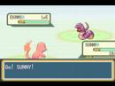 Pokemon Script Gone Wrong