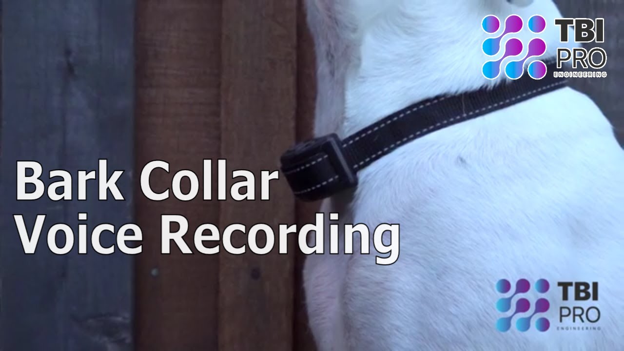 tbi bark collar instructions