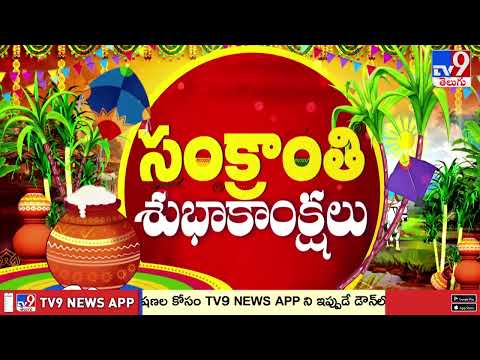 Jagga Reddy Sankranti Celebration : జగ్గారెడ్డి ఆధ్వర్యంలో సంక్రాంతి సంబరాలు - TV9 - TV9