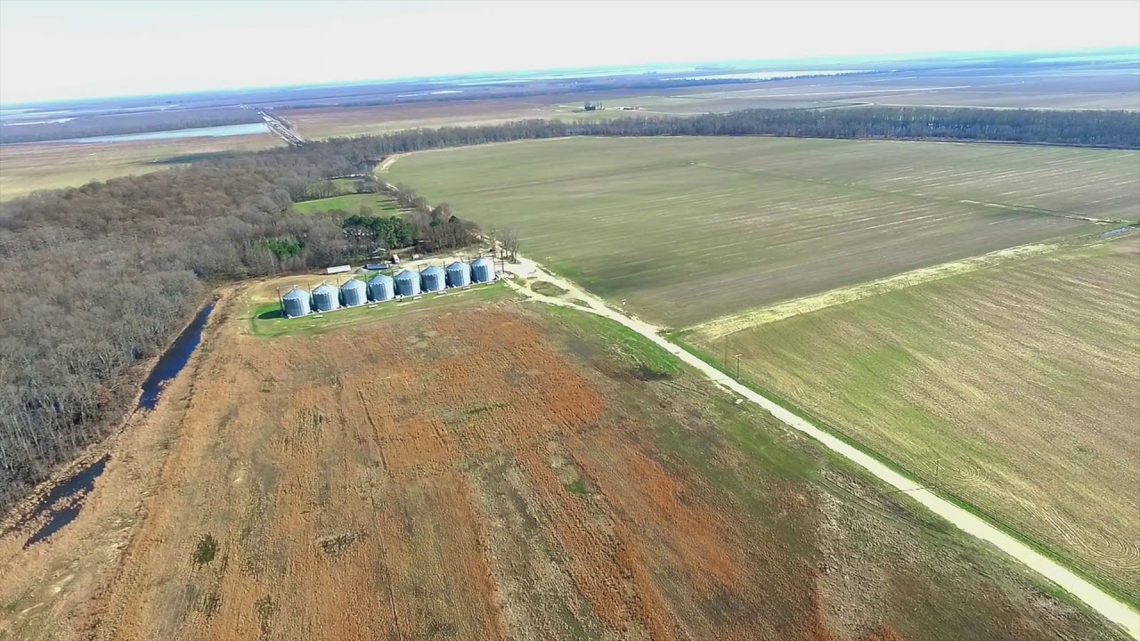 Dermott Farm YouTube