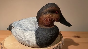 Canvasback Drake by Rick Mignano