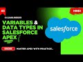 [Hindi] - [3] Variables &amp; Data Types in Salesforce Apex 🚀 | Explained for Beginners 👶 | Hands-on💯