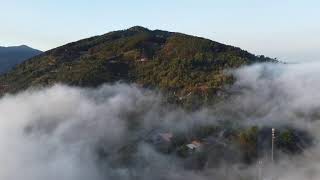 Tinh Hoa NIKAYA - Đảnh Lễ Pháp Bảo & Thương Mình Thật Nhiều *