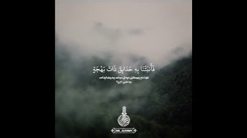 سورة النمل | القارئ رعد الكردي
