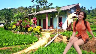 Download Lagu Musik Suling Sunda Jawa Barat,Dan Desa Indah di Jawa Barat MP3