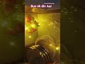 Kis Kisko Intezar Hai Ramzan ka ♥️ﷺ♥️#shorts​ #ramzan​ #shortvideo​