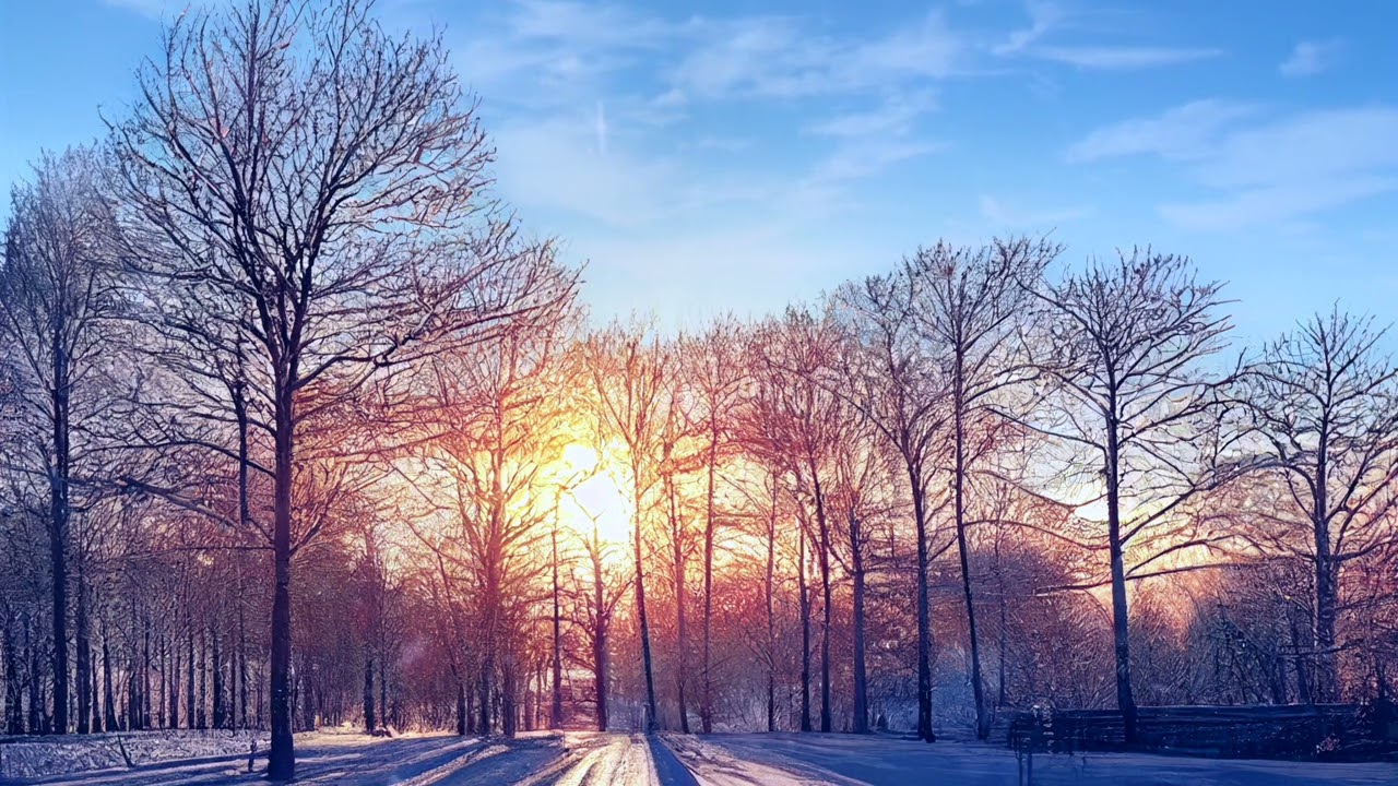 Relaxing Music For Stress Relief | Sleep Relaxation Meditation Music