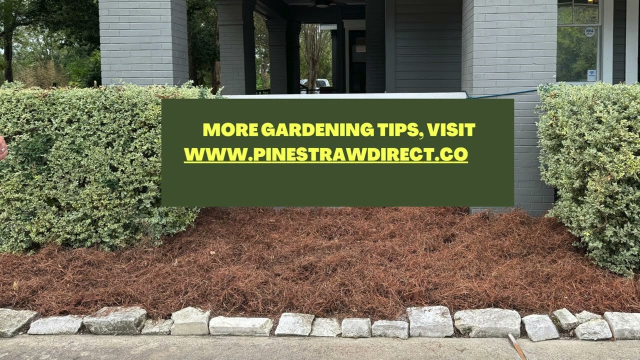 🌟 Pine Straw Mulch Installation at LIFE | Sustainable Landscaping Benefits 🌱