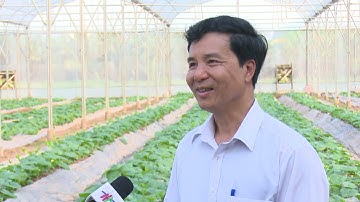 Mô hình nông nghiệp công nghệ cao, tăng trưởng xanh