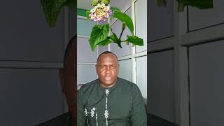 Manya emigaso ja Lantama Camara