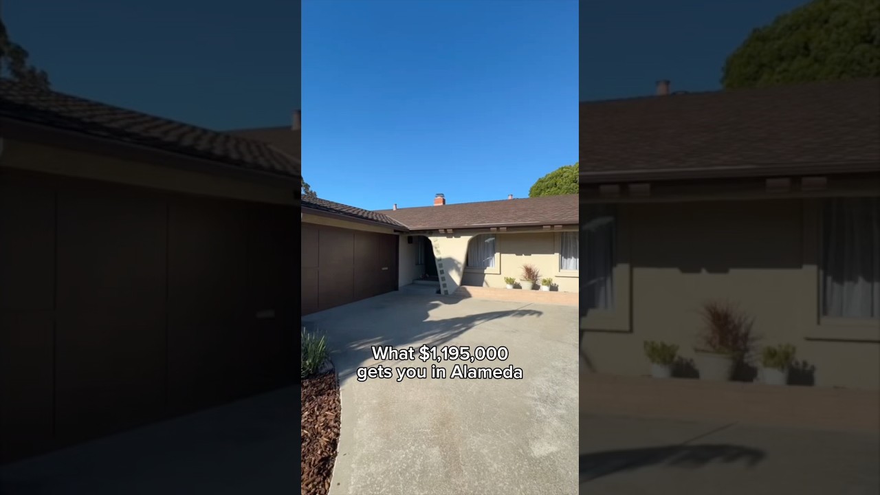 Alameda, CA 📍 Active on market!